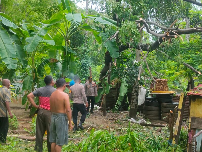 Personel Polsek Muara Satu saat menangani peristiwa pohon tumbang yang menimpa bagian dapur rumah warga di Dusun II Tgk. Mon Carak, Desa Blang Panyang, Kecamatan Muara Satu, Kota Lhokseumawe, Kamis (9/4/2026). Dok. Ist