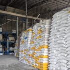 Penumpukan beras di salah satu kilang padi lokal di Abdya. Foto. Dok. Teukunizar/NOA.co.id