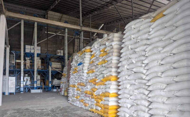 Penumpukan beras di salah satu kilang padi lokal di Abdya. Foto. Dok. Teukunizar/NOA.co.id