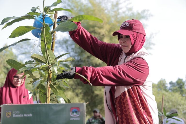 Walikota Banda Aceh Illiza Saaduddin Djamal sedang mengambil pohon Mangga untuk ditanam dalam agenda kegiatan tanam pohon untuk kelestarian lingkungan di Kota Banda Aceh baru baru ini. Foto: Dok. Humas Pemko Banda Aceh