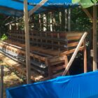 Kandang ayam petelur dan kolam bioplok bagi penerima manfaat program RTLH TMMD Kodim Abdya ke-128 di Kecamatan Tangan-tangan. Foto. Dok. Teukunizar/NOA.co.id