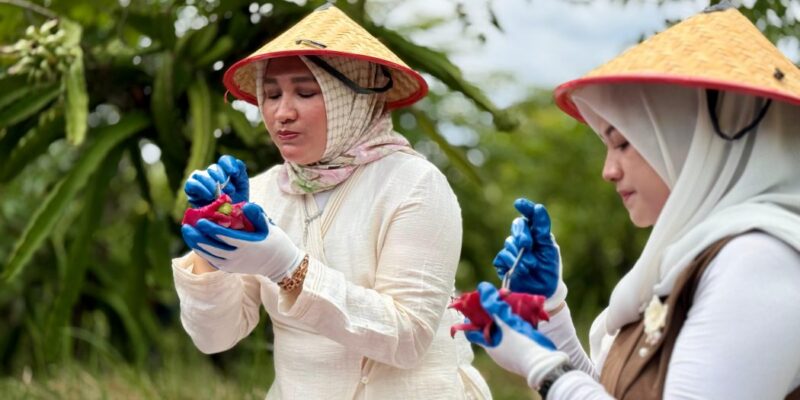 Ketua TP-PKK Aceh Ny. Marlina Muzakir, didampingi Ketua TP-PKK Sabang, Ny. Nuri Zulkifli, saat menikmati buah naga usai memanen, di kebun milik Hendri, Warga Gampong Ie Meule Kecamatan Sukajaya, Sabang, Minggu (10/5/2026). Foto: Dok. Biro Adpim Setda Aceh