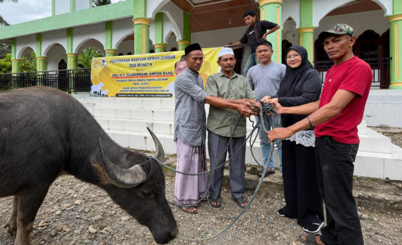 Penyerahan hewan kurban dari Ampon Bang melalui perwakilan di Kecamatan Pining. Foto. Dok. Teukunizar/NOA.co.id