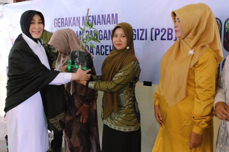Wali Kota Banda Aceh, Illiza Sa’aduddin Djamal, saat menyerahkan bibit cabai kepada kelompok wanita tani (KWT), di Gampong Lambhuk, Kecamatan Ulee Kareng, pada Kamis (19/9/2025). Foto: Tamam Rizky