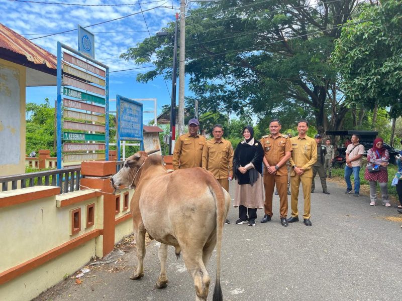 Wali Kota Banda Aceh Illiza Sa’aduddin Djamal menyerahkan secara simbolis hewan qurban Iduladha 1447 H/2026 M kepada perwakilan masyarakat, dayah, dan gampong di Banda Aceh. Foto: Dok. Diskominfo Kota Banda Aceh