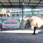 Bupati Aceh Barat Tarmizi bersama Wakil Bupati Said Fadheil, Plt Sekda, serta jajaran Pemerintah Kabupaten Aceh Barat berfoto bersama usai pelaksanaan Shalat Idul Adha 1447 Hijriah di Masjid Agung Baitul Makmur Meulaboh, Rabu (27/5/2026). Foto: Dok. Istimewa