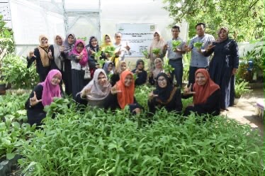 Pengembangan pekarangan pangan yang dilakukan oleh kelompok wanita tani (KWT) Banna Tani di gampong Kota Baru, kecamatan Kuta Alam, Banda Aceh. Foto: Diskominfo Banda Aceh