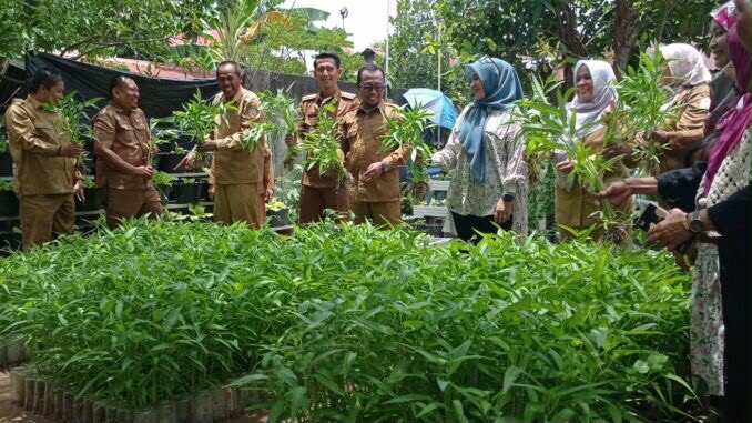 Kelompok Wanita Tani ( KWT) Banna Tani Gampong Kota Baru Kecamatan Kuta Alam melaksanakan Panen aneka sayuran berupa Pakcoy, kangkung. Foto: Dok. Gampong Kota Baru