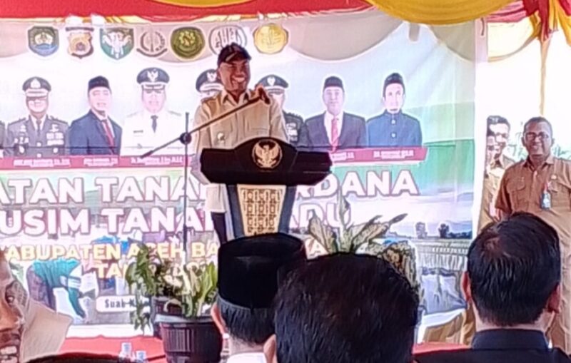 Bupati Safaruddin saat menyampaikan sambutannya pada kegiatan tanam perdana MT Gadu di Gampong Suak Nibong, Tangan-Tangan. Foto. Dok. Teukunizar/NOA.co.id