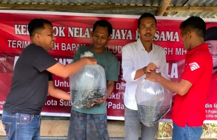 Pokdakan di Subulussalam menerima bibit Ika pada penyaluran pertama dari Jamaluddin Idham. Foto. Dok. Teukunizar/noa.co.id