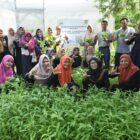 Isaha pengembangan pekarangan pangan yang dilakukan oleh kelompok wanita tani (KWT) Banna Tani di gampong Kota Baru, kecamatan Kuta Alam, Banda Aceh. Foto: Dok. Diskominfo Banda Aceh