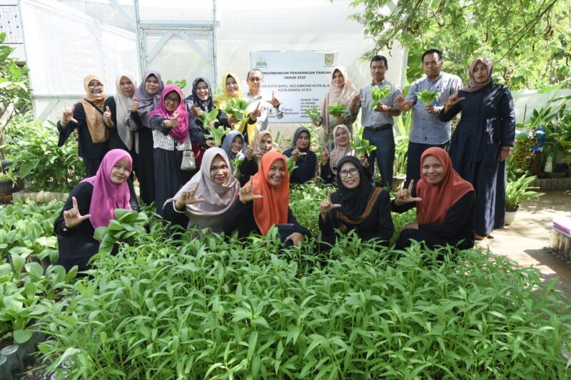Isaha pengembangan pekarangan pangan yang dilakukan oleh kelompok wanita tani (KWT) Banna Tani di gampong Kota Baru, kecamatan Kuta Alam, Banda Aceh. Foto: Dok. Diskominfo Banda Aceh