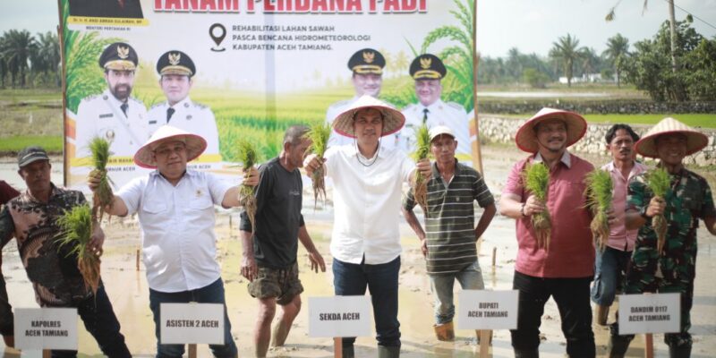 Sekda Aceh, M. Nasir, S.iP, MPA, didampingi Asisten Perekonomian dan Pembangunan Sekda Aceh, Ir. T. Robby Irza, S.SiT, MT, beserta Bupati Aceh Tamiang, Irjen. Pol. (P) Drs. Armia Pahmi, MH, dan jajaran Forkopimda Aceh Tamiang, saat melakukan Tanam Perdana Padi bersama dalam rangka Rehabilitasi Lahan Sawah Pascabencana Hidrometeorologi di Desa Bukit Panjang Kec. Karang Baru, Kab. Aceh Tamiang, Minggu, (5/7/2026). Foto: Dok. Biro Adpim Setda Aceh