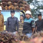 Bupati Aceh Barat Tarmizi SP, MM didampingi Kepala Dinas Perkebunan melakukan inspeksi mendadak (sidak) ke pabrik kelapa sawit di Kecamatan Panton Reu guna memastikan harga pembelian Tandan Buah Segar (TBS) petani sesuai dengan ketetapan pemerintah, Selasa (14/7/2026). Foto: Dok. Pemkab Aceh Barat