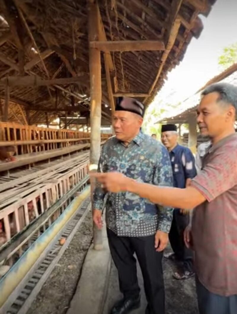 Anggota DPR RI Bambang Haryo Soekartono (BHS) berkesempatan mengunjungi salah satu peternakan ayam petelur. 