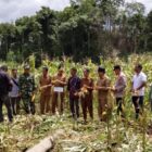 Bupati Aceh Jaya Safwandi bersama jajaran pemerintah daerah mengikuti panen perdana jagung BUMG Gampong Lhok Bot di Kecamatan Setia Bakti, Selasa (28/7/2026). Foto: Dok. Istimewa