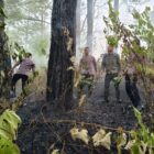 Personel Brimob Polda Aceh melakukan pemadaman kebakaran hutan dan lahan (karhutla) di Gampong Suka Damai, Kecamatan Lembah Seulawah, Kabupaten Aceh Besar, Kamis (30/7/2026). Foto: Dok. Istimewa