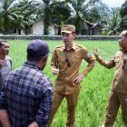 Bupati Aceh Barat, Tarmizi, meninjau langsung kondisi sawah yang terdampak kekeringan di Kecamatan Samatiga sekaligus menyerahkan bantuan pompa air kepada kelompok tani, Selasa (28/7/2026). Foto: Dok. Istimewa 