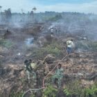 Tim gabungan TNI, Polri, BPBD Aceh Selatan, personel TNGL, pemerintah kecamatan, dan masyarakat melakukan penyisiran serta pendinginan pada area yang masih mengeluarkan asap akibat kebakaran hutan dan lahan di Gampong Drien, Kecamatan Bakongan, Aceh Selatan, Senin (31/8/2026). Foto: Dok. Istimewa 
