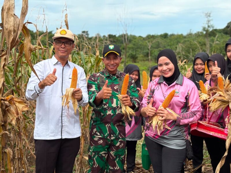 Kadis Pertanian Nagan Raya Marzuki, S.E Bersama Komandan Batalyon TP 856/SBS Letkol Inf Didik Sulistio, S. A. P. , M. P. A. Foto: Dok. Istimewa 