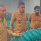 Bupati Safaruddin saat meninjau langsung program bioflok lele Pemdes Geulumpang Payong. Foto. Dok. Teukunizar/noa.co.id