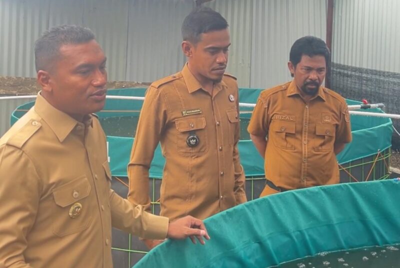 Bupati Safaruddin saat meninjau langsung program bioflok lele Pemdes Geulumpang Payong. Foto. Dok. Teukunizar/noa.co.id