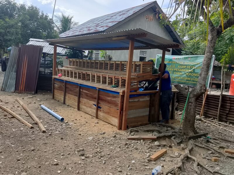 Lima unit kandang ayam petelur dan kolam ikan lele yang dibangun Satgas TMMD ke-129 Kodim 0102/Pidie untuk penerima manfaat rehabilitasi RTLH di Desa Lhok Panah, Kecamatan Sakti, Pidie, telah rampung dan siap dimanfaatkan, Senin (10/8/2026). Foto: Dok. Istimewa 