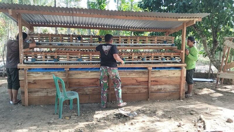 Satgas TMMD ke-129 Kodim 0102/Pidie merampungkan pembangunan kandang ayam petelur dan kolam ikan lele di halaman rumah Nyak Ubit, Desa Lhok Panah, Selasa (11/8/2026). Foto: Dok. Istimewa 
