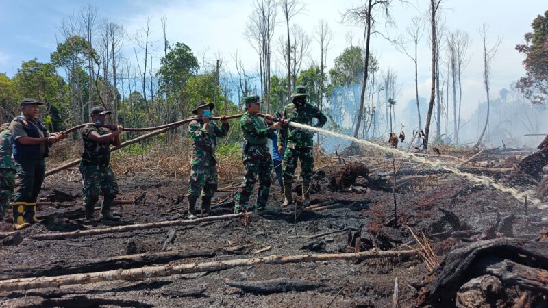 Suasana tim gabungan saat melakukan penyisiran, pemadaman, pembasahan, dan pendinginan di kawasan karhutla Gampong Ujung Mangki, Kecamatan Bakongan, Aceh Selatan, Rabu (2/9/2026). Foto: Dok. Istimewa 