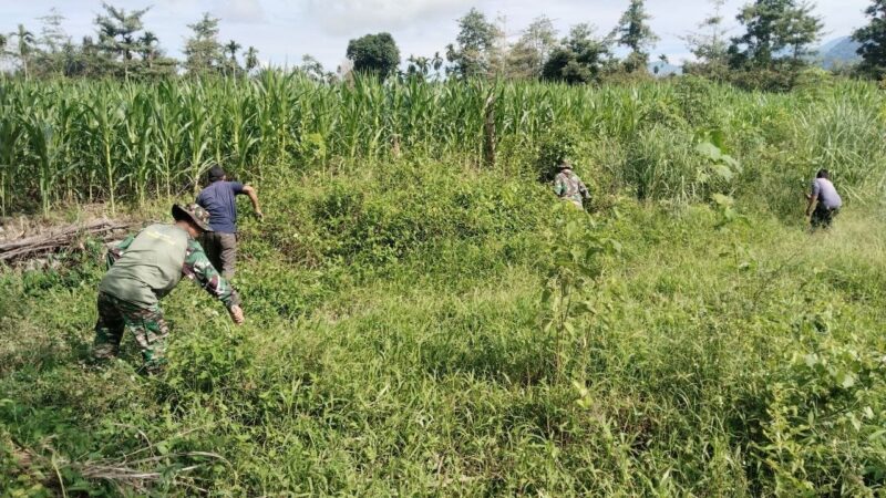 Babinsa Satgas Jembatan Gantung Serda Dedi Sabara bersama warga bergotong royong membersihkan lahan yang akan menjadi lokasi pembangunan jembatan gantung di Desa Rambung Jaya, Kecamatan Darul Hasanah, Aceh Tenggara, Senin (14/9/2026). Foto: Dok. Istimewa 