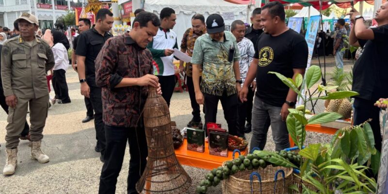 Wakil Gubernur Aceh, H. Fadhlullah, didampingi Kepala Biro Administrasi Pimpinan Setda Aceh, Akkar Arafat, S.STP, M.Si, mengamati aneka kerajinan saat mengunjungi Expo Pembangunan dan UMKM dalam rangka HUT ke-515 Kab. Pidie, di Pidie Convention Center (PCC), Kamis, (17/9/2026). Foto: Dok. Biro Adpim Setda Aceh 