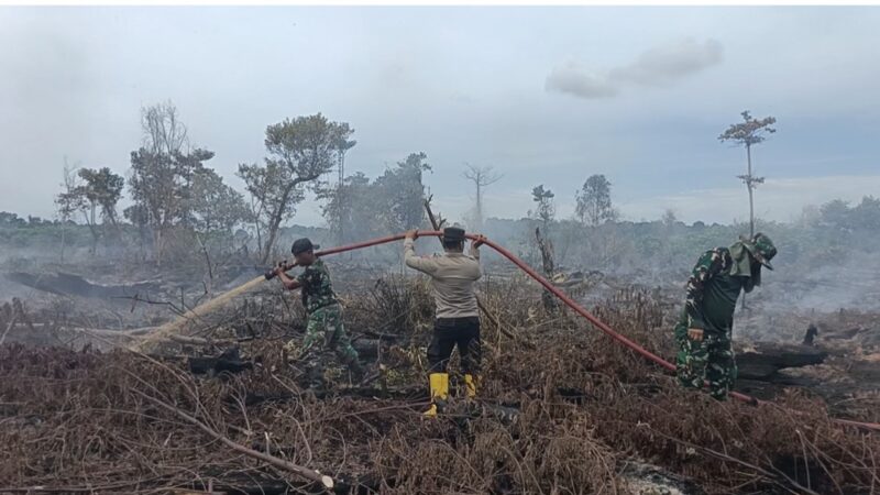 Tim gabungan TNI, Polri, BPBD Aceh Selatan, TNGL, pemerintah kecamatan dan masyarakat melakukan penyisiran serta pendinginan di lokasi Karhutla Gampong Drien, Kecamatan Bakongan, Aceh Selatan, Senin (31/8/2026). Foto: Dok. Istimewa 