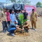 Bupati Aceh Jaya Safwandi bersama istrinya, Desi Maulidar, dan Ketua KPA Sagoe Teunom, Agus Ferdia, melakukan penanaman perdana kelapa sawit di Gampong Alue Meuraksa, Kecamatan Teunom, Senin (12/10/2026), didampingi sejumlah pihak terkait. Foto: Dok. Istimewa