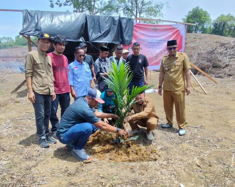 Bupati Aceh Jaya Safwandi bersama istrinya, Desi Maulidar, dan Ketua KPA Sagoe Teunom, Agus Ferdia, melakukan penanaman perdana kelapa sawit di Gampong Alue Meuraksa, Kecamatan Teunom, Senin (12/10/2026), didampingi sejumlah pihak terkait. Foto: Dok. Istimewa